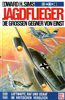 Jagdflieger - Die großen Gegner von einst: 1939-1945 Luftwaffe, RAF und USAAF im kritischen Vergleich