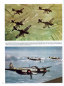 Preview: Luftwaffe Painting Guide - with Color Charts: A Supplement to Luftwaffe Camouflage & Markings Vols 1, 2 & 3