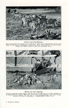 Preview: Babuna: 100.000 Kilometer im Flugzeug über Afrikas Dschungeln