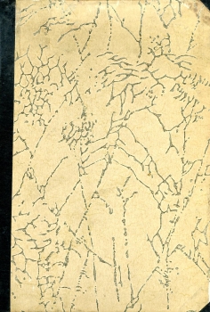 Preview: Deutsche Luftwacht - Ausgabe: Luftwissen und Luftwehr 1935 gebunden: Zeitschrift für Luftfahrttechnik und -forschung