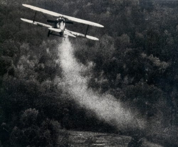 The Great Airplanes: Canvas Creations of an Exiting Era (1914-1918)