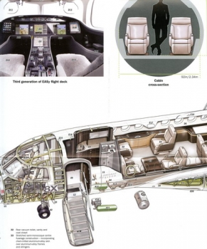 Falcon 8X: Flight International Cutaway